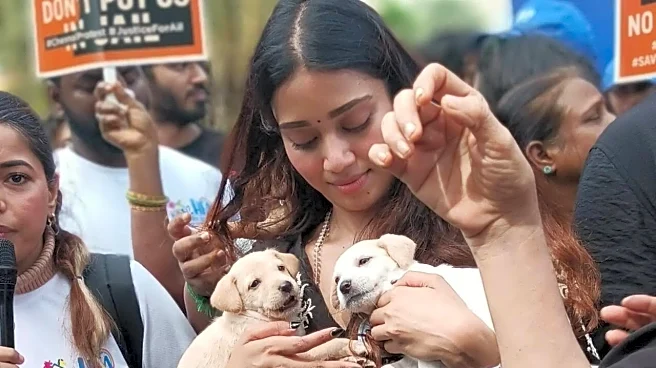 Nivetha Pethuraj Stray Dog Comment: Why Are Netizens Disappointed With Actor?