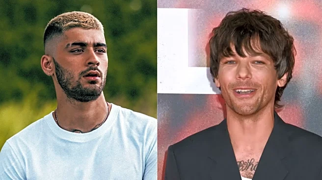 Former One Direction Members Zayn Malik, Louis Tomlinson’s Netflix Docuseries HALTED After Bar Fight - Report