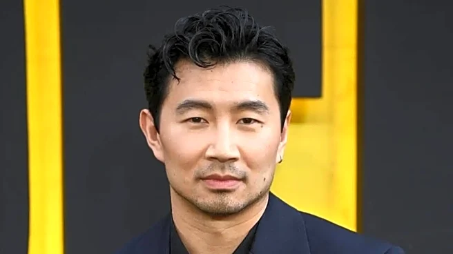 Simu Liu Discusses Responsibility Of Being Number One On Call Sheet And Asian Actor In Risk-Averse Hollywood