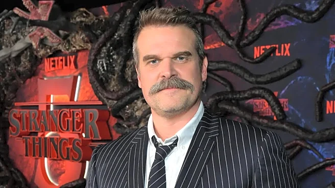 Amid Mental Health Concerns After Stranger Things End, David Harbour Exits Pedro Pascal's Behemoth