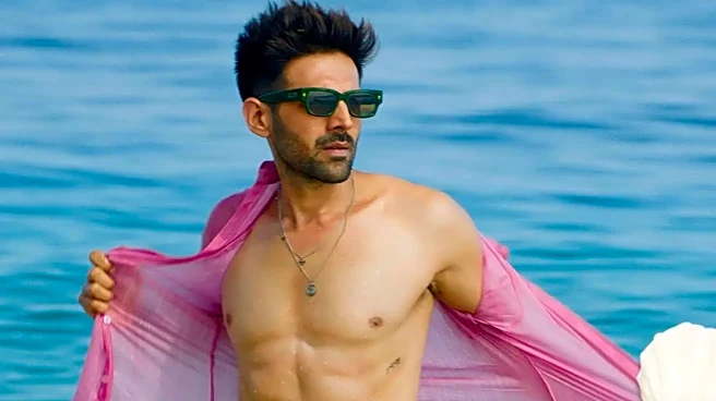 How Much Was Kartik Aaryan Paid For Tu Meri Main Tera Main Tera Tu Meri?