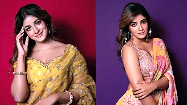 Why Is Dimple Hayathi's Relationship Status Surprising Fans? Know About Her Controversial Personal Life