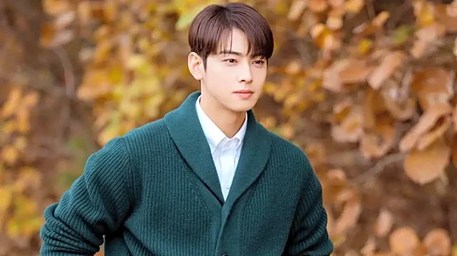 Could Cha Eun-Woo Go To Jail? As ASTRO Member's Tax Evasion Case Deepens, Here's What Korea's Laws Suggest