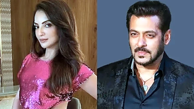 Seema Sajdeh Shares How Salman Khan 'Supported' Her During Divorce, Spills Beans About Sohail's Family