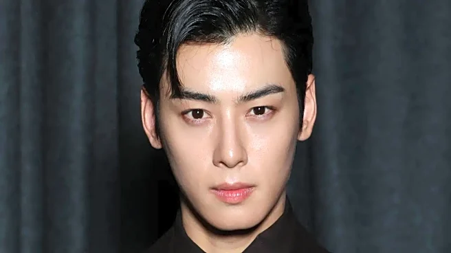 Cha Eun-Woo Tax Evasion Scandal: NewJean's Law Firm Comes Onboard For ASTRO Member