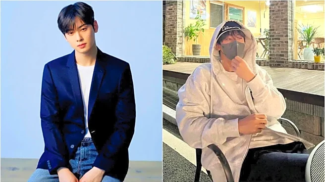 Can Cha Eun-Woo's Old Instagram Post On Eel Restaurant Land Him In Jail? Legal Community Discusses Tax Evasion Case
