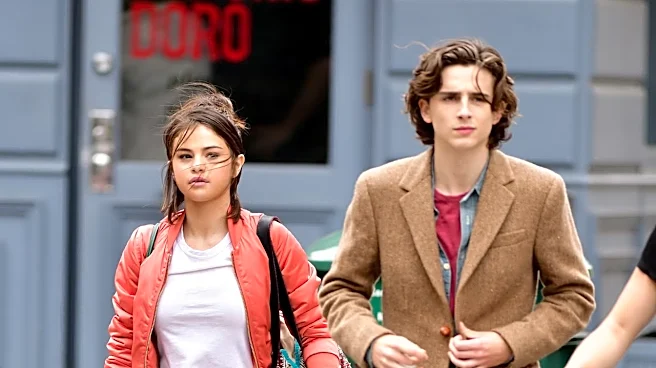 Selena Gomez-Timothee Chalamet To Star In Not Alone - All About The Animated Film