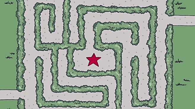 Optical Illusion: Find The Right Entry To The Maze That Leads To The Star Under 10 Seconds