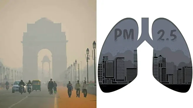 Pollution Crisis: Why a Leading Lung Specialist Urges People to Move Out of Delhi-NCR?
