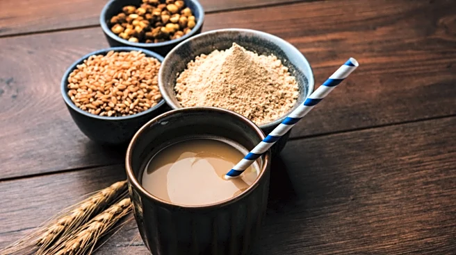 Sattu Isn’t Just for Summers. Here’s Why It Deserves a Year-Round Spot in Your Diet