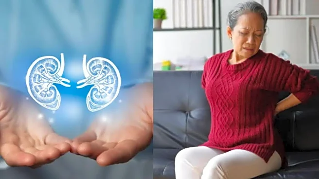 What is Chronic Kidney Disease, The Global Health Crisis Killing 800 People Across the World?