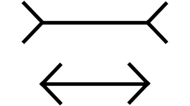 Optical Illusion: Are These Two Lines The Same Size? Your Answer Depicts How Your Mind Interprets Reality