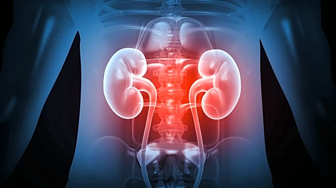 Breakthrough In Kidney Health: Researchers Report A ‘Simple’ Method To Reverse Renal Damage