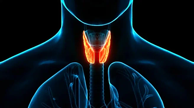 A Worldwide Rise in Thyroid Cancer: Is Your Risk Increasing Too?