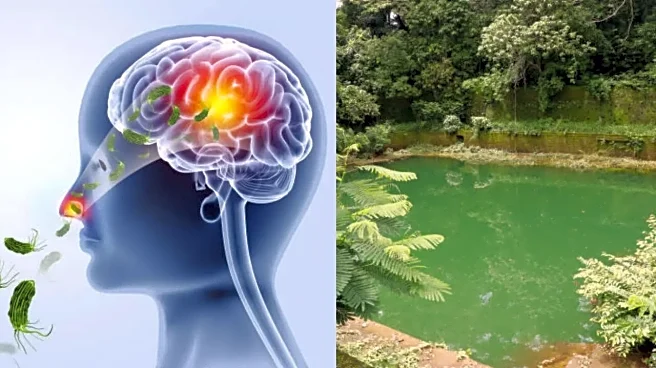 Karnataka Warns Sabarimala Pilgrims: Brain-Eating Amoeba Spike Makes Freshwater Dips Risky; Stick to Safe Pools Instead