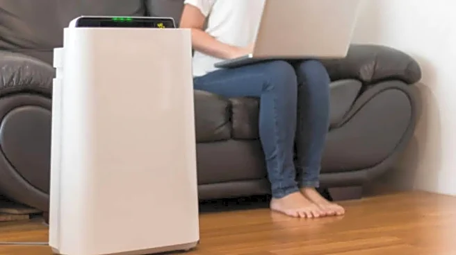 Buying an Air Purifier? 5 Important Health Rules You Must Check First