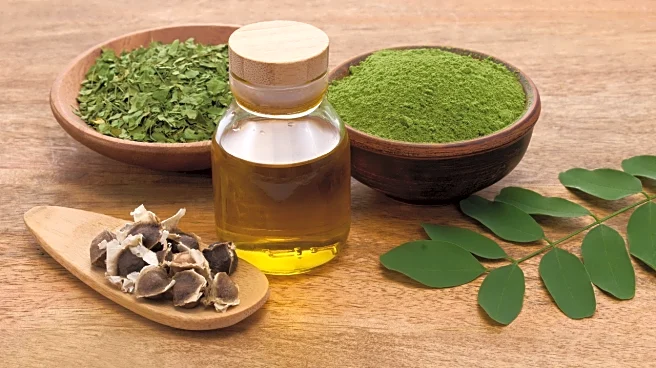 Why Moringa Might Be the Winter Superfood Your Brain Needs