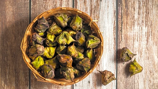 You Love Singhara, But It Might Not Love You Back: Hidden Health Risks of Water Chestnuts