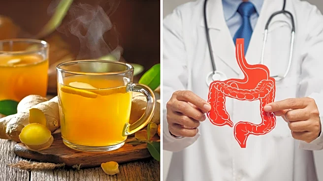 10 Natural Drinks That Keep Your Digestion on Track During Cold Months