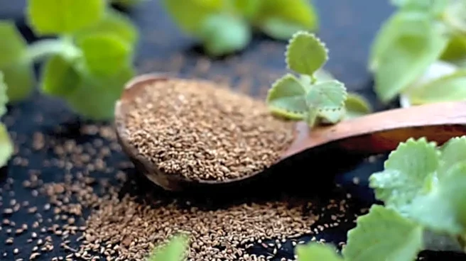 Why Ajwain in Winter Is a Secret Weapon for Blocked Nose and Chest Cold or Congestion