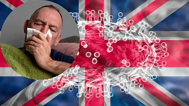 What Is the ‘Super Flu’ Spreading Across the UK? How to Protect Yourself From the Deadly H3N2 Strain