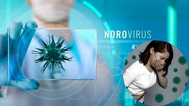 Norovirus Spreading Fast: Why Hand Sanitizer Won’t Protect You and What to Do
