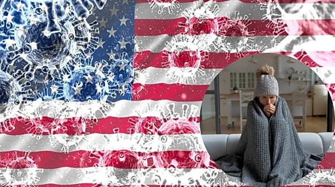 What is the New K Subclade Flu Variant That is Rapidly Spreading as Flu Season Surges Across the US