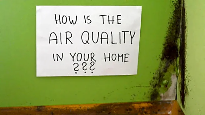 Delhi Pollution: Indoor Air Worse Than Outdoors, Pulmonologist Warns; How to Stay Safe