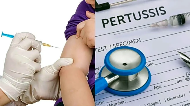 Whooping Cough Outbreaks Rise in the US Amid Falling Immunisation Levels, Report Warns