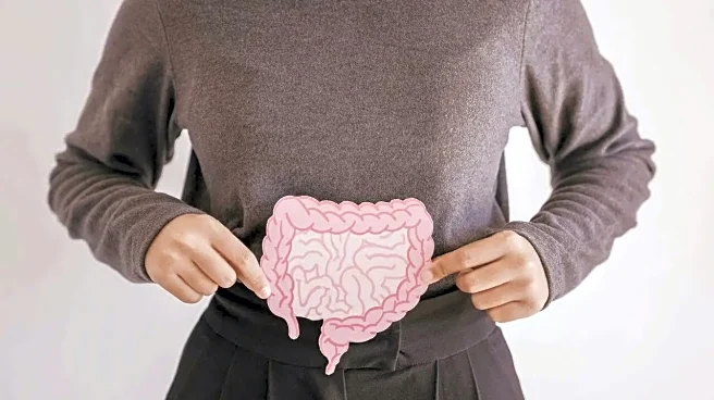 Is Your Gut Health At Risk? New Study Reveals How Colon Stiffness Could Mean A Higher Risk Of Colorectal Cancer