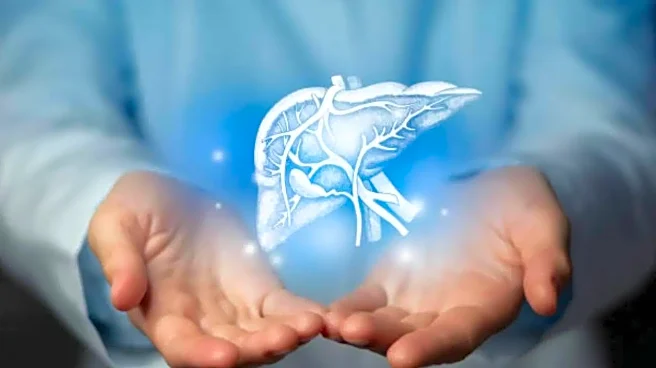 Liver Enzymes Going Up? Doctors Warn of Hidden Liver Damage You Shouldn’t Ignore