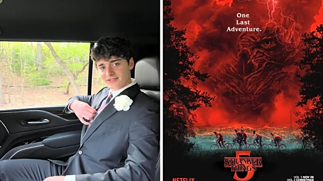 Stranger Things Star Noah Schnapp Says Therapy Should Be Mandatory for Child Actors, Opens Up on Mental Health Struggles