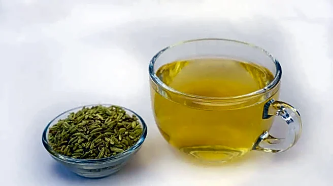 Is Saunf Water the Ultimate Morning Drink for Better Digestion, Weight Loss, and Gut Health?