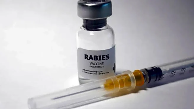 Fake Rabies Vaccine Used in India? Australia Makes Shocking Claim, Pharma Company Denies Allegations
