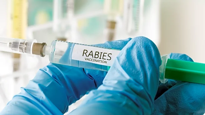 Indian Vaccine Maker Hits Back At Australia’s ‘Fake Rabies Shot’ Alarm — Demands Urgent Review