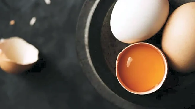 Egg Whites or Whole Eggs: Which Is Better for Weight Loss and Fat Loss?