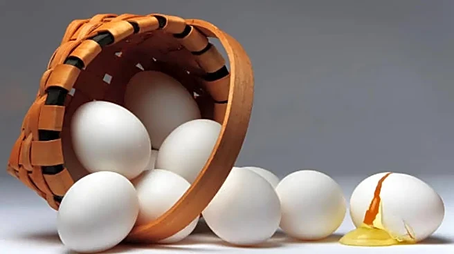 5 Smart Ways to Eat Eggs If You Have High Cholesterol, According to Nutrition Experts