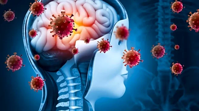 Nipah Alert in West Bengal After Two Suspected Cases: What Is the Deadly Virus and Its Symptoms?