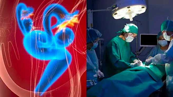 Lucknow Doctors Perform Rare Surgery on Woman Born With Two Uteruses And Vaginas, Restore Normal Function