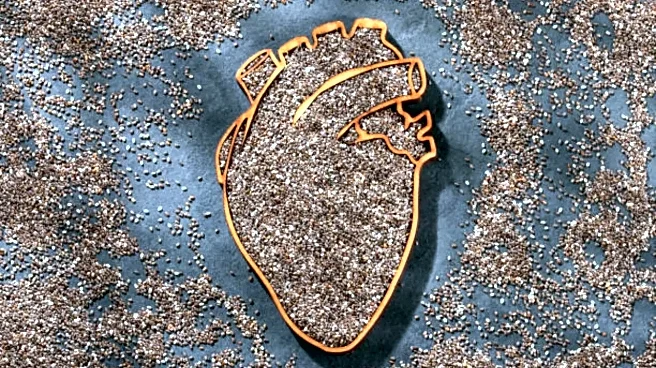Why Chia Seeds May Be Dangerous If You’re on Blood Thinners