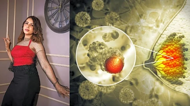 Rozlyn Khan Hospitalised After Fatigue While Battling Stage 4 Cancer; Why the Symptom Matters?