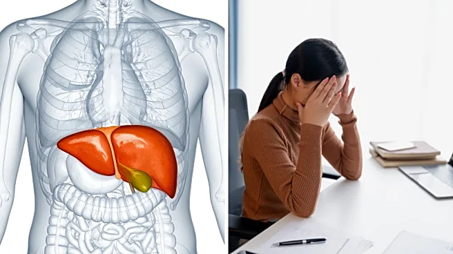 Your Liver Is Tired: How Modern Lifestyles Are Quietly Damaging Liver Health