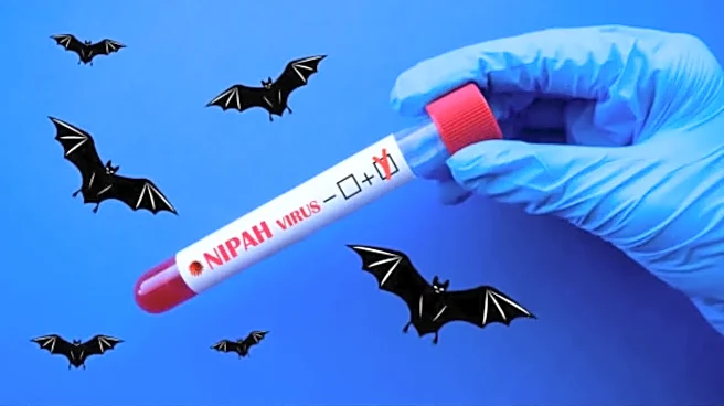 Nipah Virus Update: India Claims Outbreak Contained, Asia Tightens Surveillance
