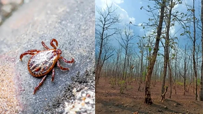 Karnataka Reports Death From Kyasanur Forest Disease: Symptoms, Spread and Risk