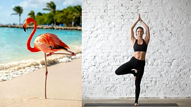 The Flamingo Balance Test Is Going Viral - Here’s What It Says About Your Health