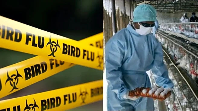 H5N1 Bird Flu Outbreak in Chennai: Are Humans at Risk?