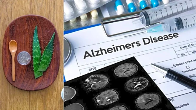 Aloe Vera May Help Fight Alzheimer’s Disease, Encouraging New Study Finds