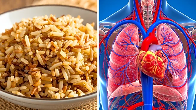 Why You Should Switch to Brown Rice for Better Health