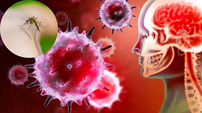 Encephalitis Outbreak in Rajasthan: 5 Children Dead, Health Alert Issued