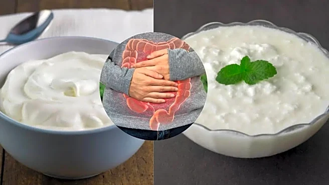 Indian Gut Health Guide: Why Dahi, Idli, and Dosa Beat Greek Yogurt